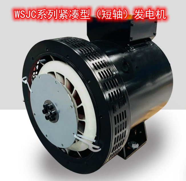 短軸發(fā)電機(jī)